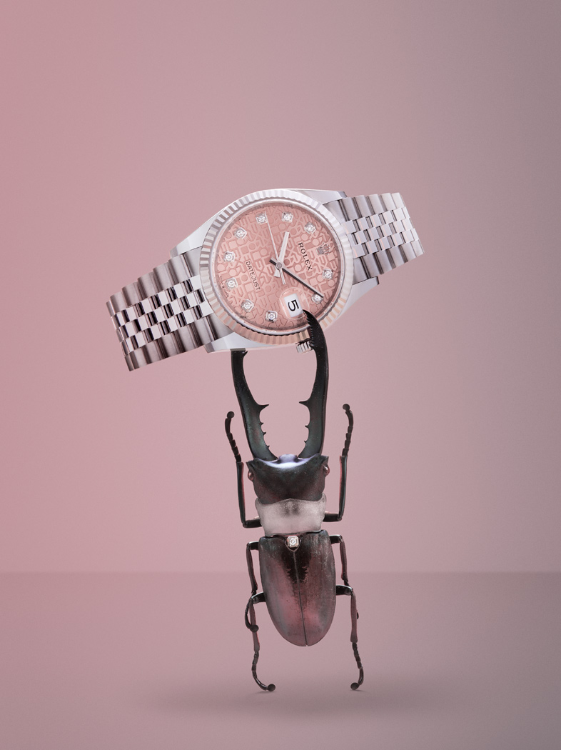 zStl_f_Accessory_Insetti_Rolex